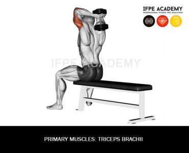 Dumbbell Seated Triceps Press(overhead) - Ifpe Academy