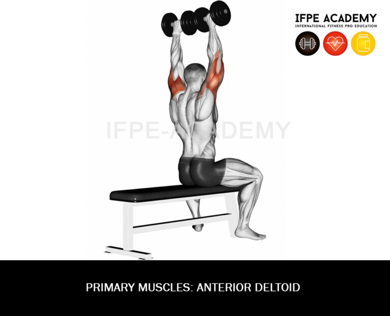 Dumbbell Shoulder Press (standing) - IFPE Academy