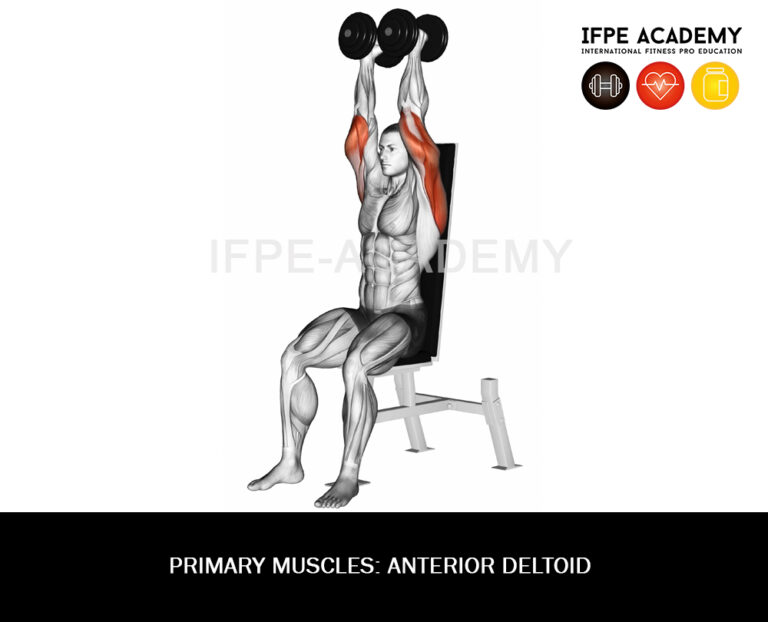 Dumbbell Shoulder Press - IFPE Academy