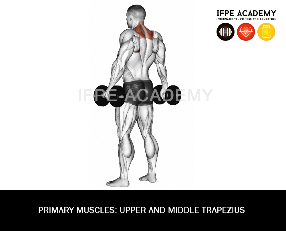 Standing Barbell Shrug