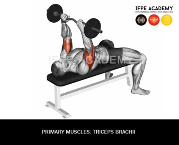 Lying Barbell Triceps Extensio - IFPE Academy